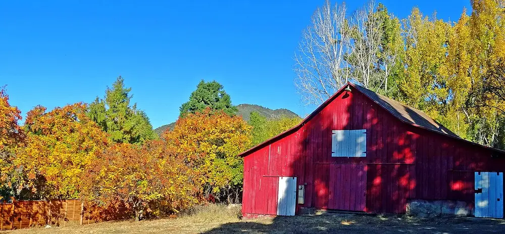A red barn surrounded by autumn trees
